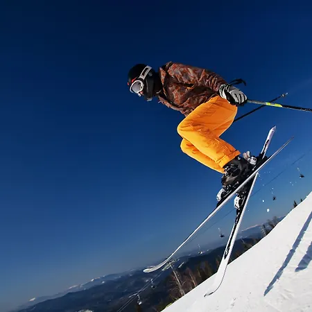 Otel Dormio Obertraun