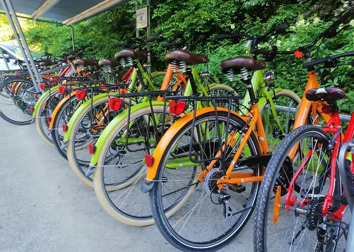 酒店 上特劳恩多尔米奥酒店 4*